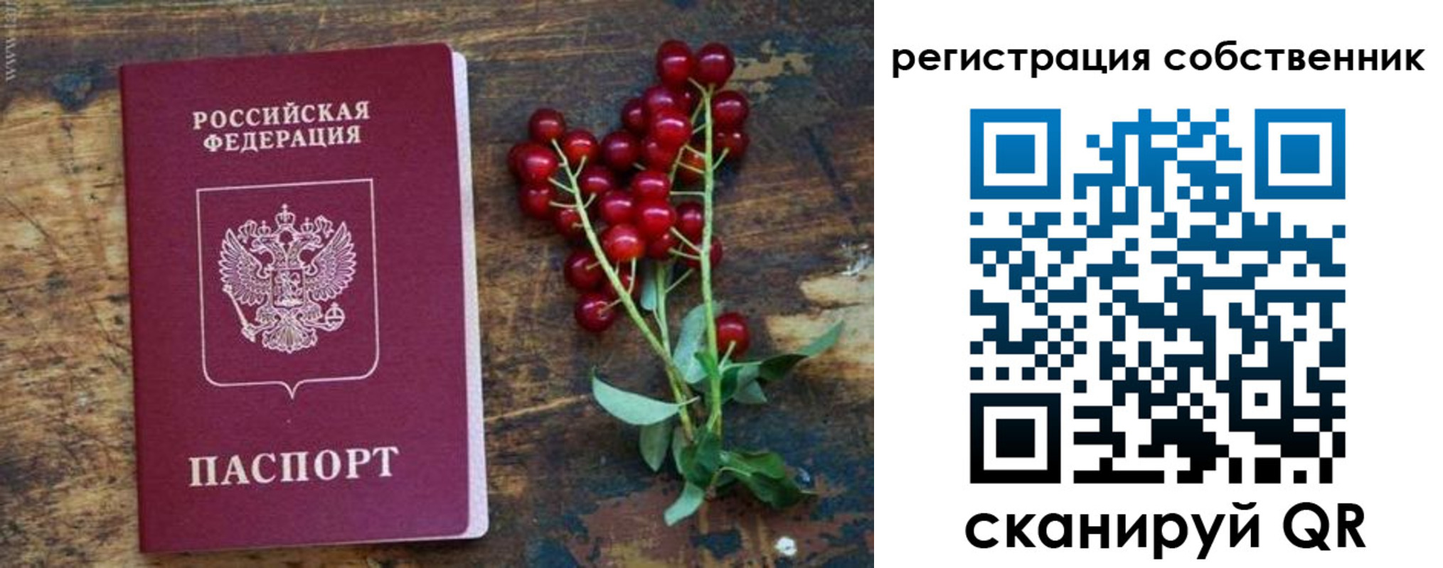 регистрация для дет. сада в Читинской области